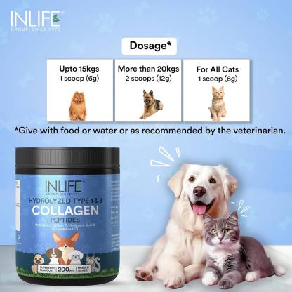 Inlife Collagen Powder for Dogs & Cats Blueberry Flavour Pet Health Supplements  (200 g)