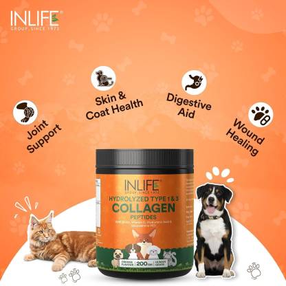 Inlife Collagen Powder for Dogs & Cats Orange Flavour Pet Health Supplements  (200 g)