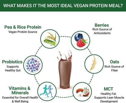इनलाइफ़ शाकाहारी पौधा आधारित पोषण भोजन प्रतिस्थापन शेक पुरुषों और महिलाओं के लिए 500 ग्राम पौधा-आधारित प्रोटीन (500 ग्राम चॉकलेट)