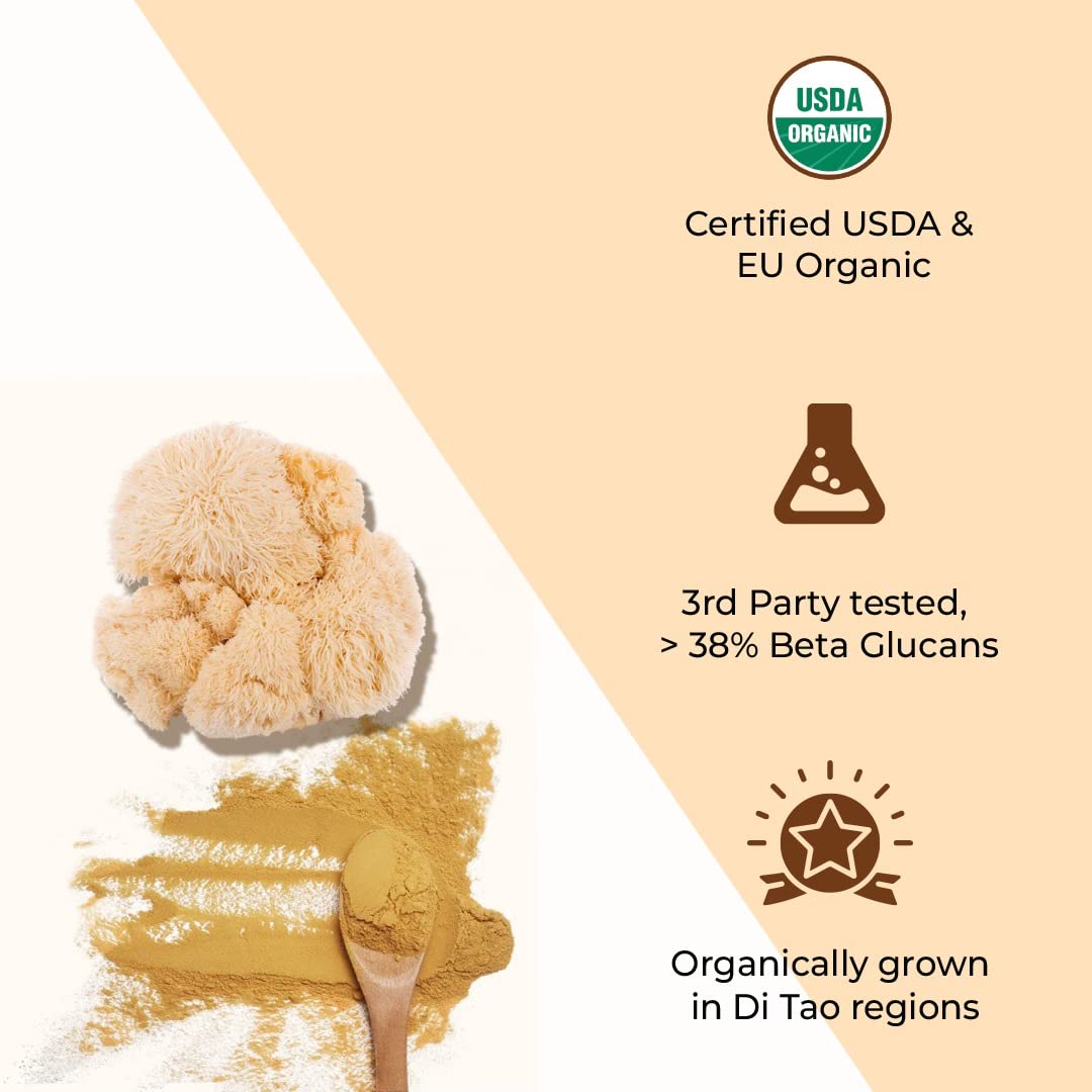 Rooted Actives Lions Mane mushroom Extract (120 g)  Memory Focus Brain Powder & Nerve Health. USDA Organic 38% Beta Glucans