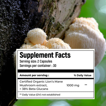 ROOTED Usda Organic Lions Mane Mushroom Extract Capsules 38% Beta Glucans(60 Capsule)