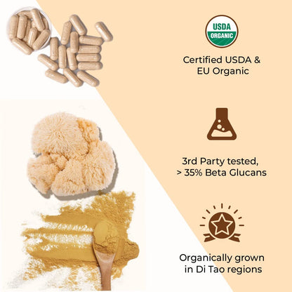 ROOTED Usda Organic Lions Mane Mushroom Extract Capsules 38% Beta Glucans(60 Capsule)