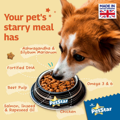 PetStar வயது வந்தோர் 1 கிலோ கோழி மற்றும் கோதுமை உலர் நாய் உணவு