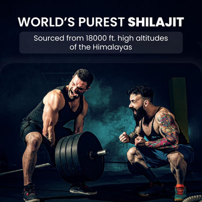 Himalayan Organics Pure Shilajit Resin to Boost PerformancePower Stamina Endurance Strength With Fulvic Acid & 85+ Trace Minerals Complex for EnergyMaximum Potency I - 25g