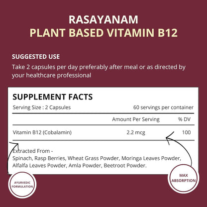 Rasayanam Plant Based Vitamin B12 supplement for Men  Women (120 Capsules)  Organic Formulation for Vegetarians  Vegans to support Nervous System  Brain Function