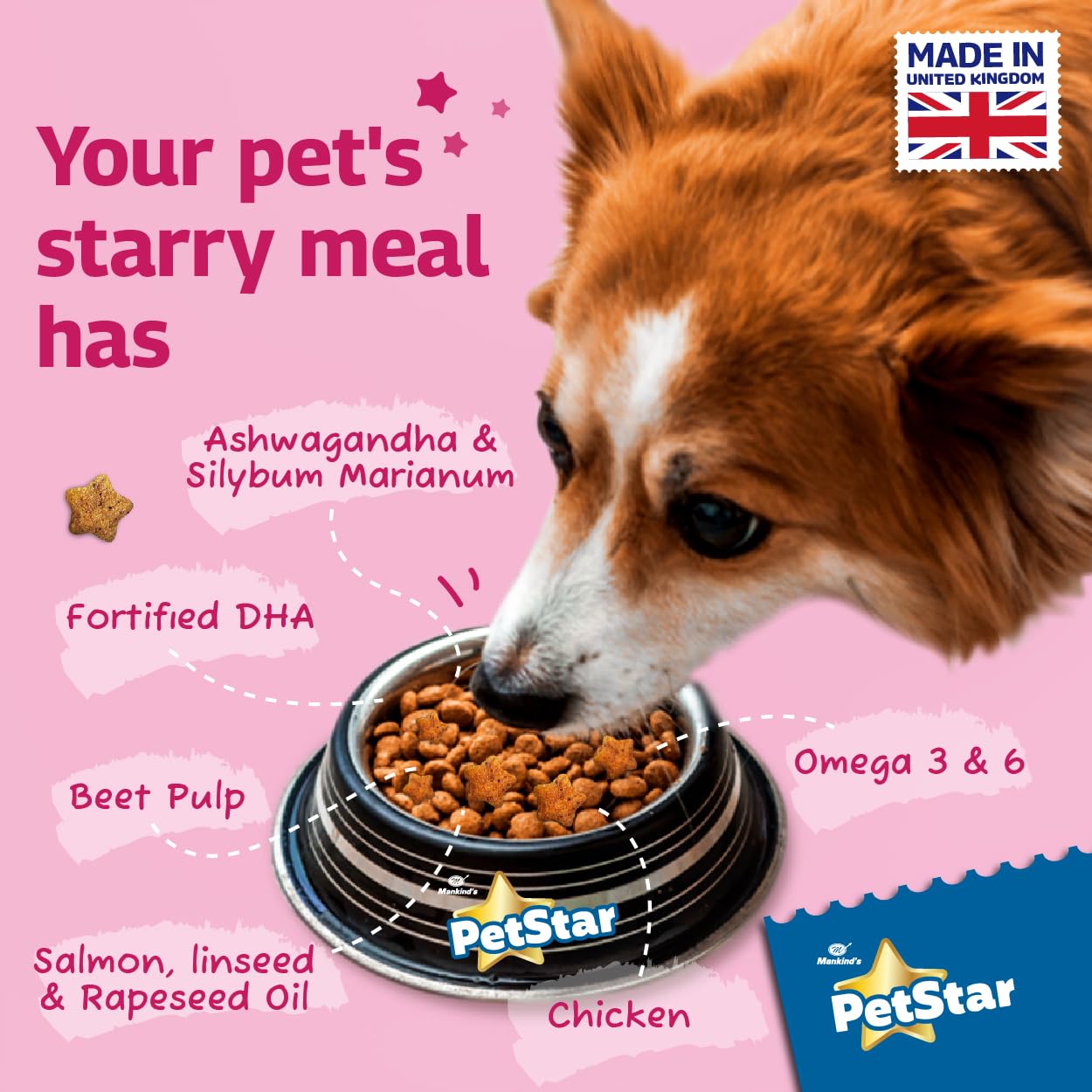 PetStar வயது வந்தோர் 3 கிலோ உலர் இறைச்சி மற்றும் கோதுமை நாய் உணவு