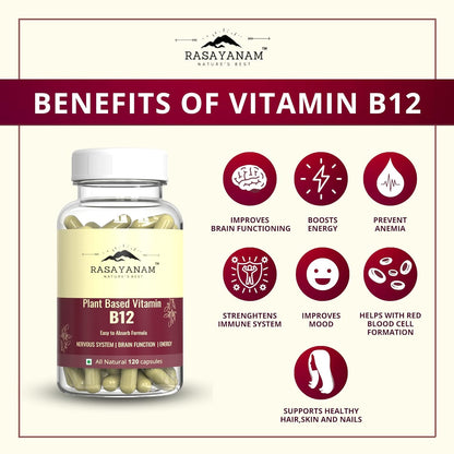 Rasayanam Plant Based Vitamin B12 supplement for Men  Women (120 Capsules)  Organic Formulation for Vegetarians  Vegans to support Nervous System  Brain Function