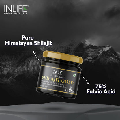 INLIFE Shilajit Gold 20g  Original Himalayan Shilajeet Resin with Ashwagandha Tribulus Turmeric Kali Musli for Strength Endurance  Stamina  75% Fulvic Acid  Lab Tested Ayurvedic Supplement