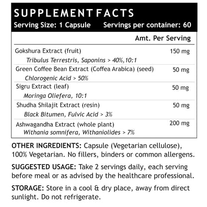 INLIFE Energy Booster Supplement | Shilajit Ashwagandha Tribulus Green Coffee Bean and Moringa | Helps Support Strength & Energy | Herbal Ayurvedic Product - 60 Vegetarian Capsules (Pack of 1 60)