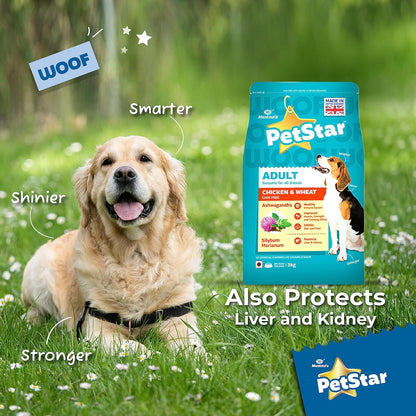 PetStar வயது வந்தோர் 1 கிலோ கோழி மற்றும் கோதுமை உலர் நாய் உணவு