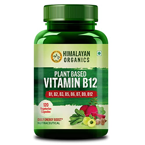 Himalayan Organics Plant Based Vitamin B-12 | Natural Wheat Grass Moringa Alfalfa | Boost Energy Level | Good For Nervous System & Brain Function -120 Veg Capsules