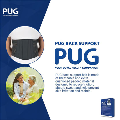 PUG Back Support Pack of 1