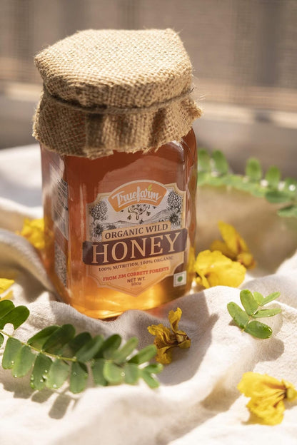 Organic Wild Honey (500g)