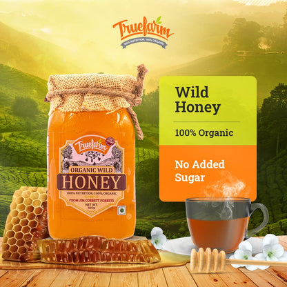 Organic Wild Honey (500g)