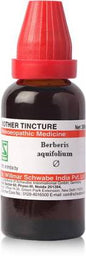 Dr.Willmar Schwabe India Berberis Aquifolium Mother Tincture 30 ml